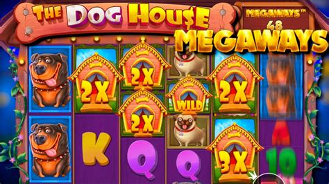 dog house megaways big win